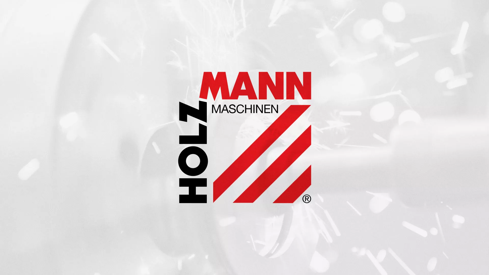 Создание сайта компании «HOLZMANN Maschinen GmbH» в Пыталово