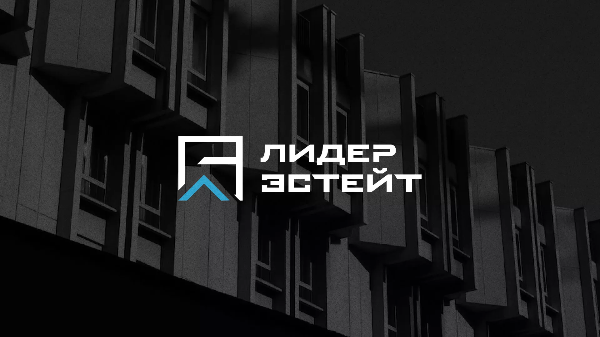 Разработка логотипа агентства недвижимости «Лидер Эстейт» в Пыталово